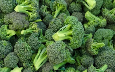 Brocoli – Sulfodyne®