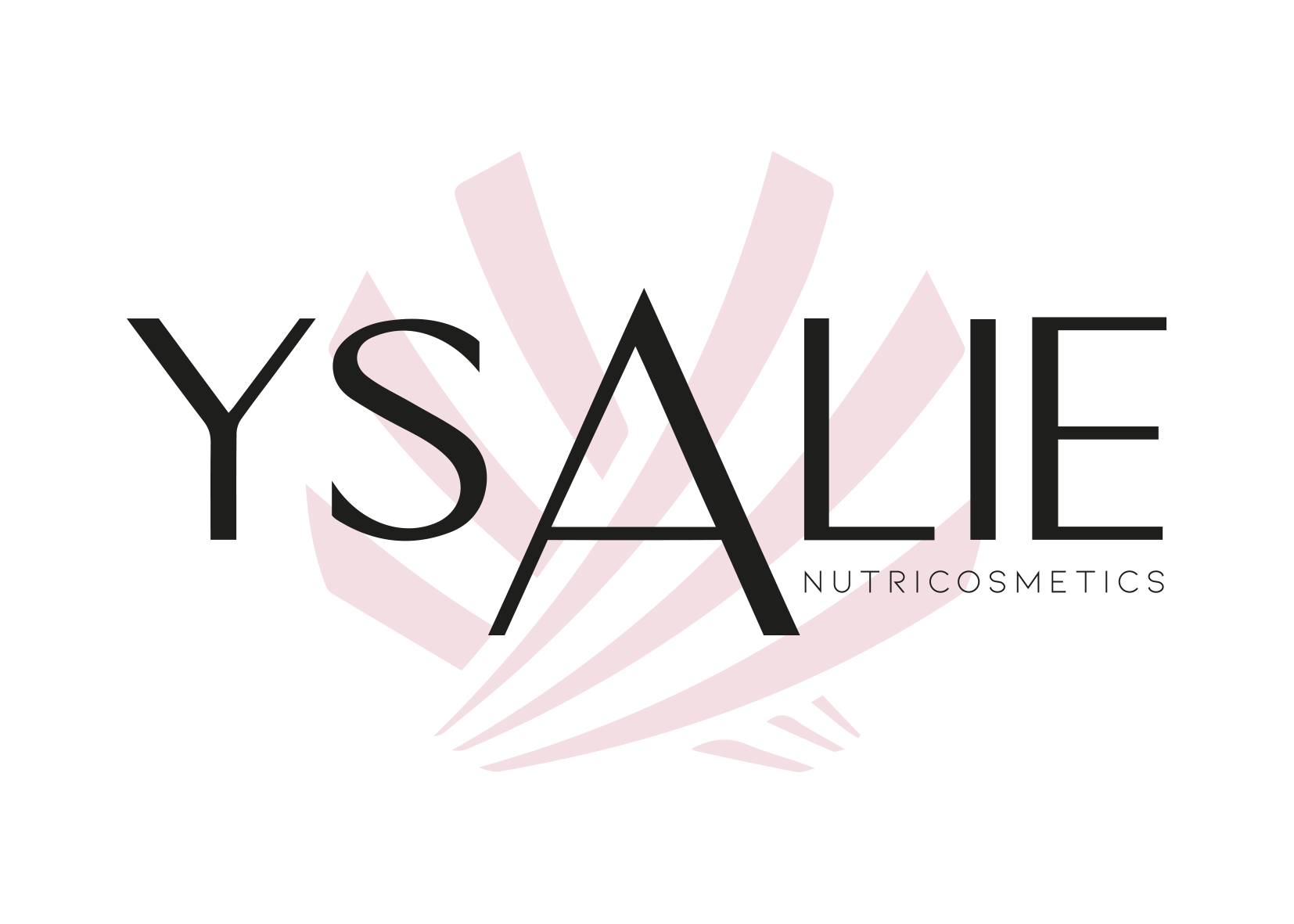Logo Ysalie texte noir et ailes roses