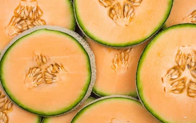 SOD de Melon – Holimel®